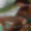 Meggynorfleet NSA sex 38701