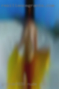 grande9830 nude girls water skying