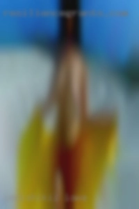 Imnishikii Iowa